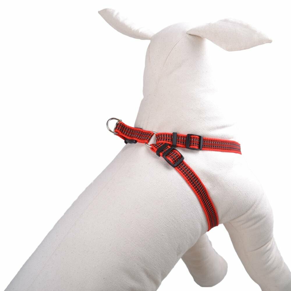 Red dog harness with reflective seams