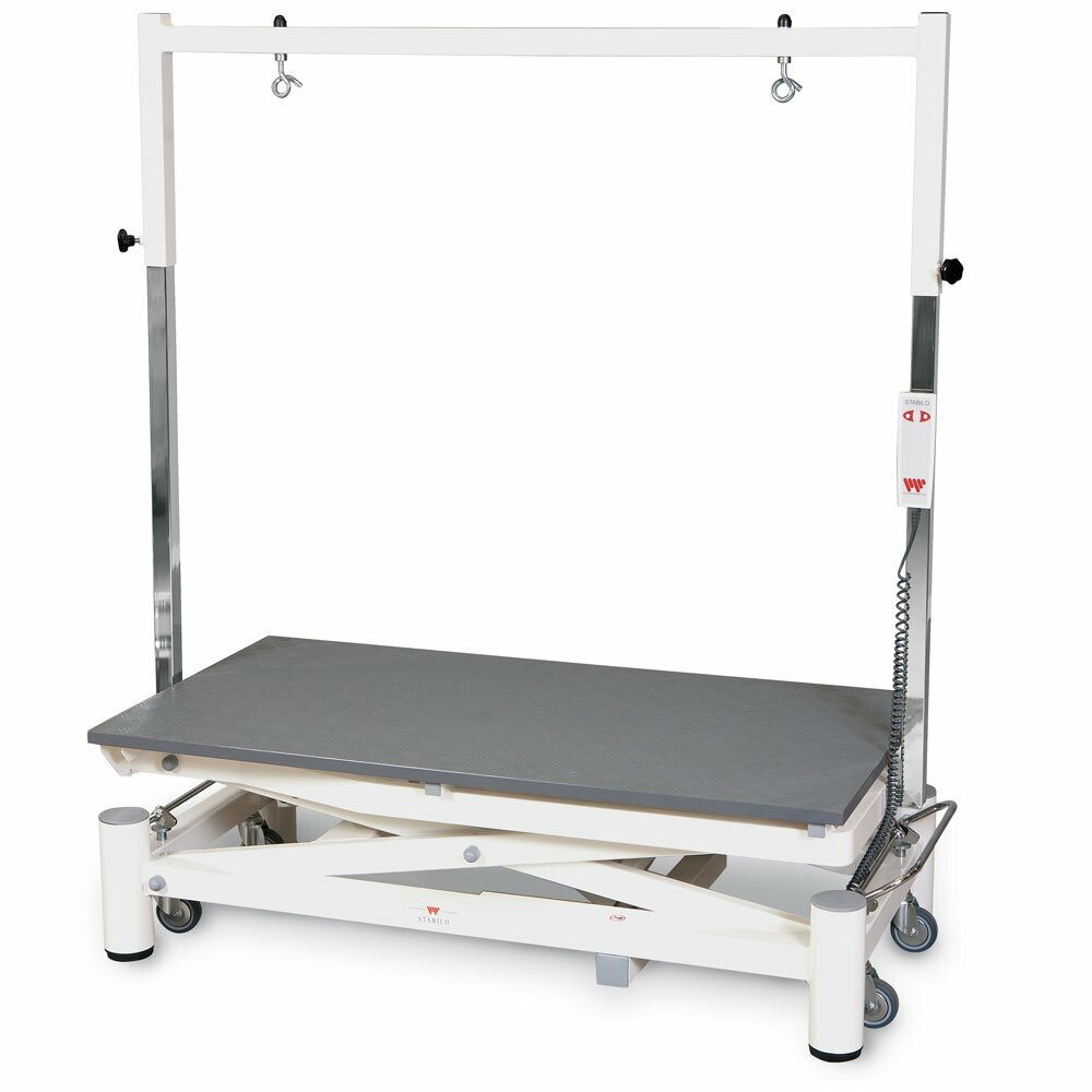 Stabilo grooming table Elite also available with over head control post