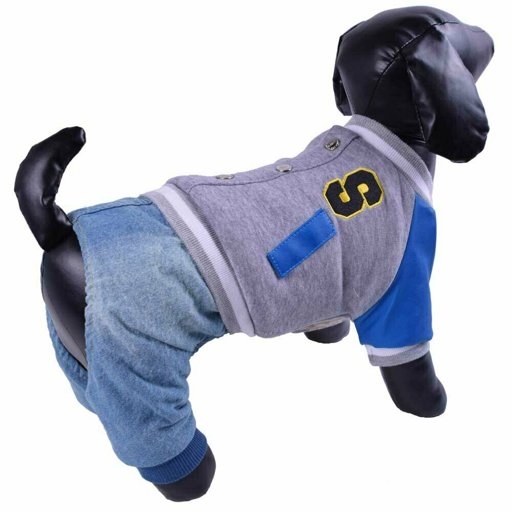 Warm dog divider with leather sleeves gray blue
