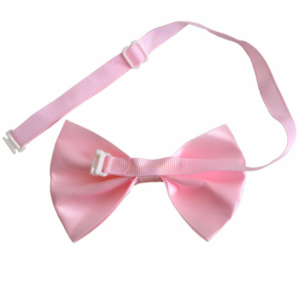Delicate pink dog bow tie with quick release