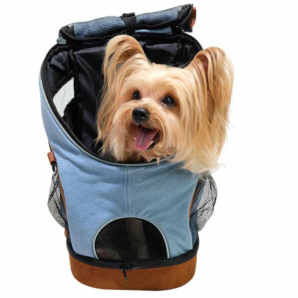 dog backpack for small dogs up to 6 kg