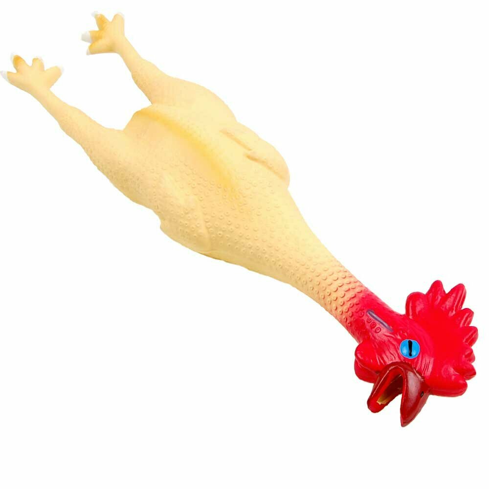 dog toy - plucked chicken with trumpet