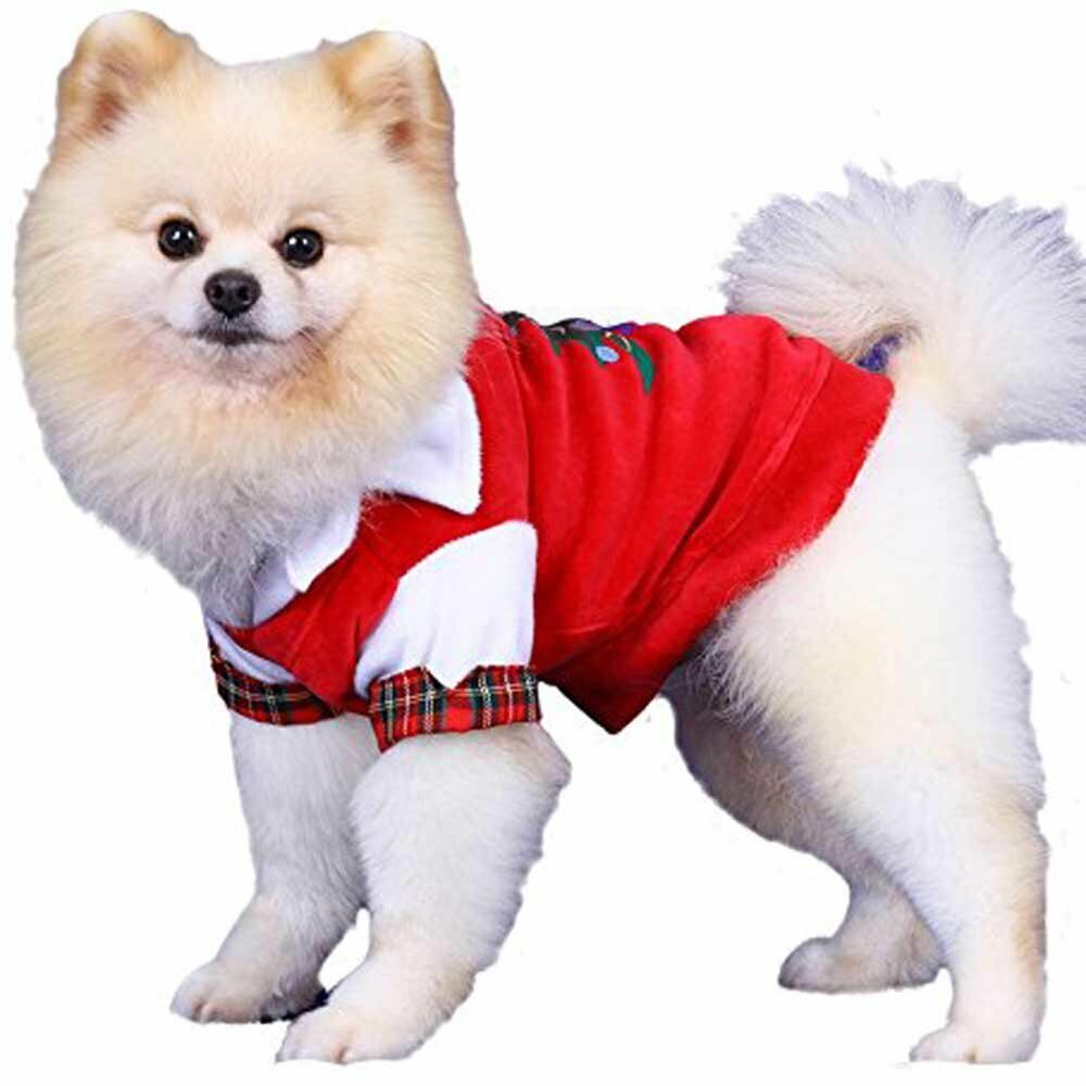 Christmas clothes for dogs of DoggyDolly