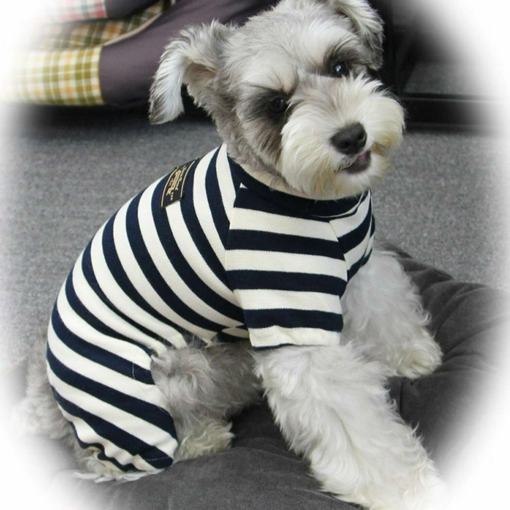 Striped romper for dogs