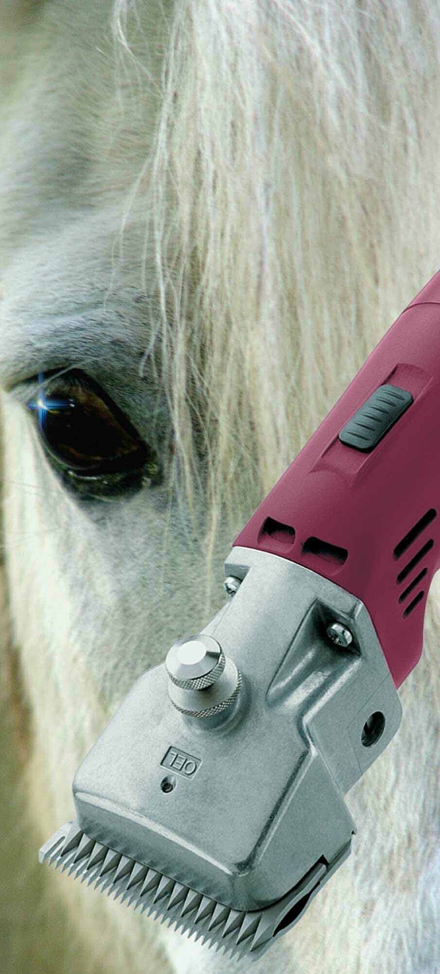Aesculap the pro among horse clippers