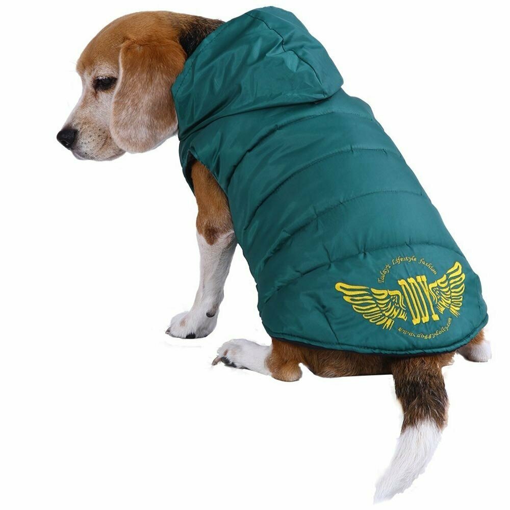 The warm clothing for dogs by DoggyDolly dog fashions
