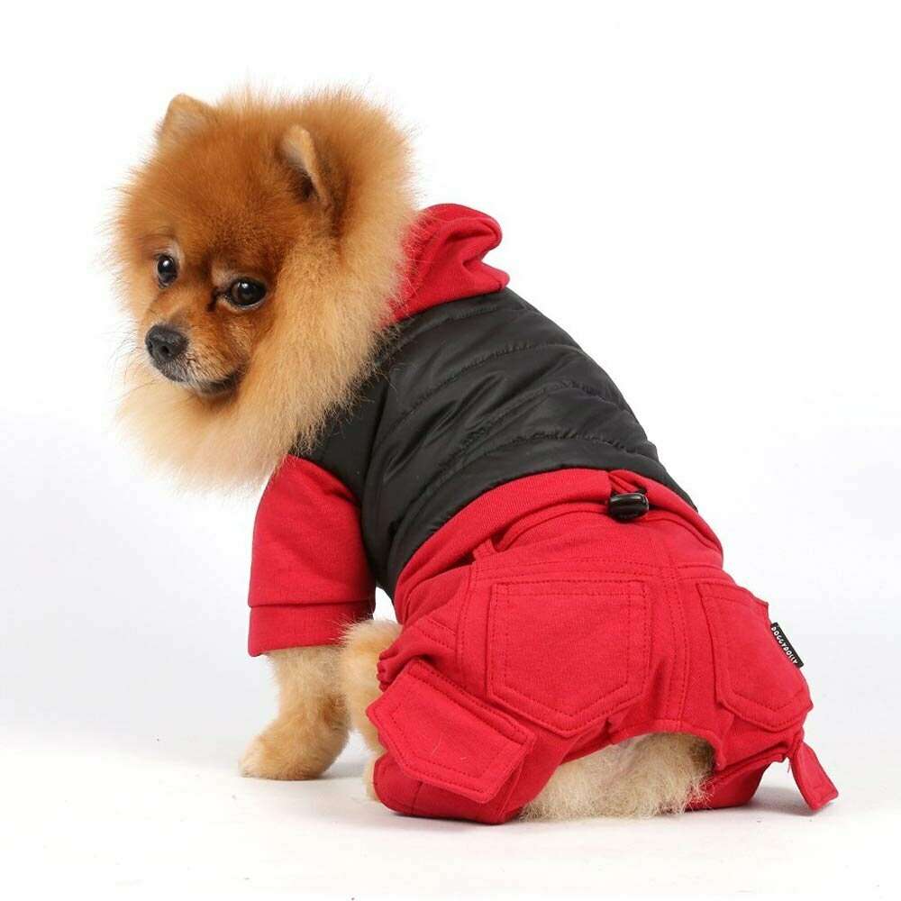 Red dog coat in a sporty design
