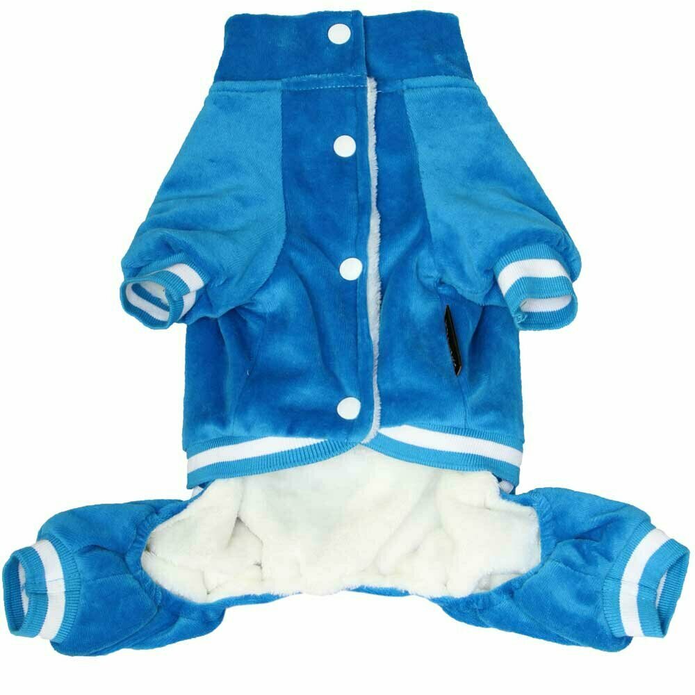 Velvety soft overall Blue - Warm dog clothes