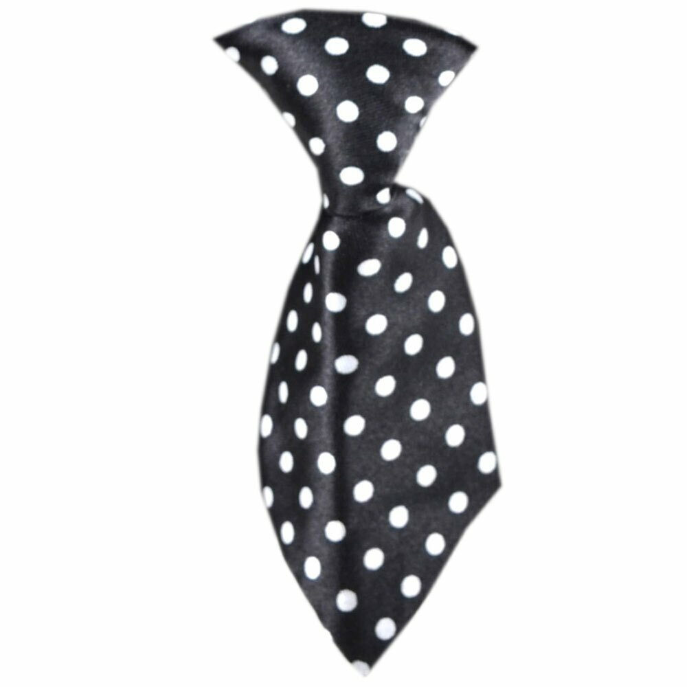 Dog tie spotted black