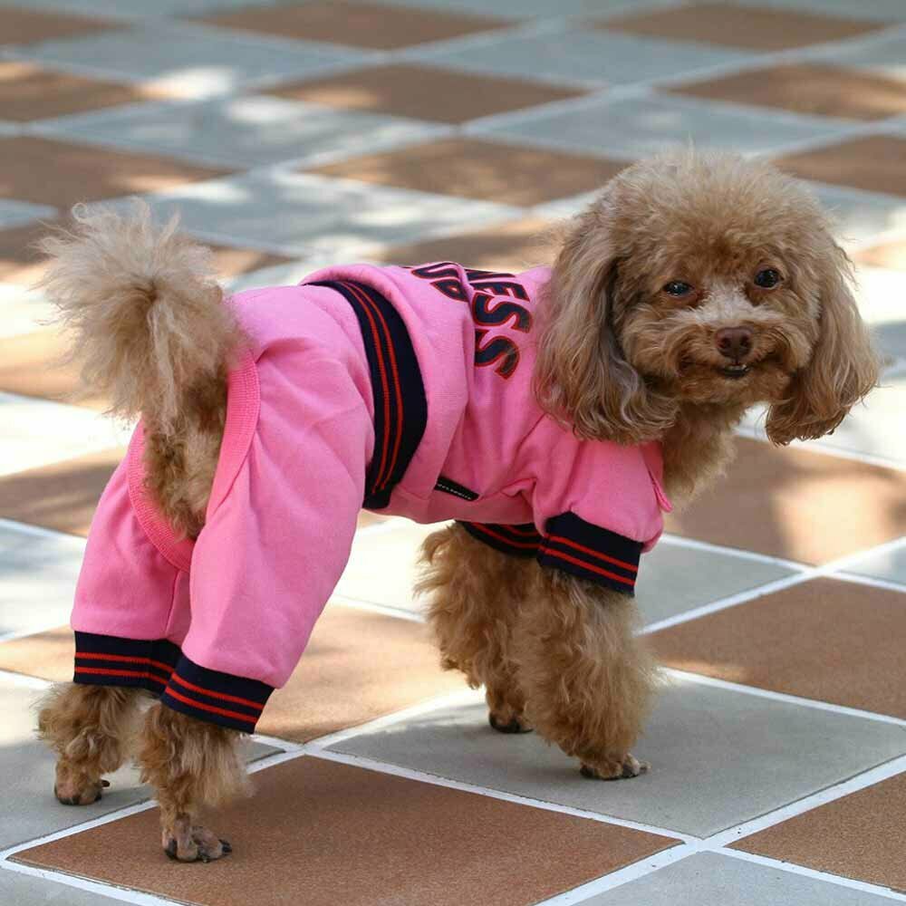 Sporty suit for dog pink