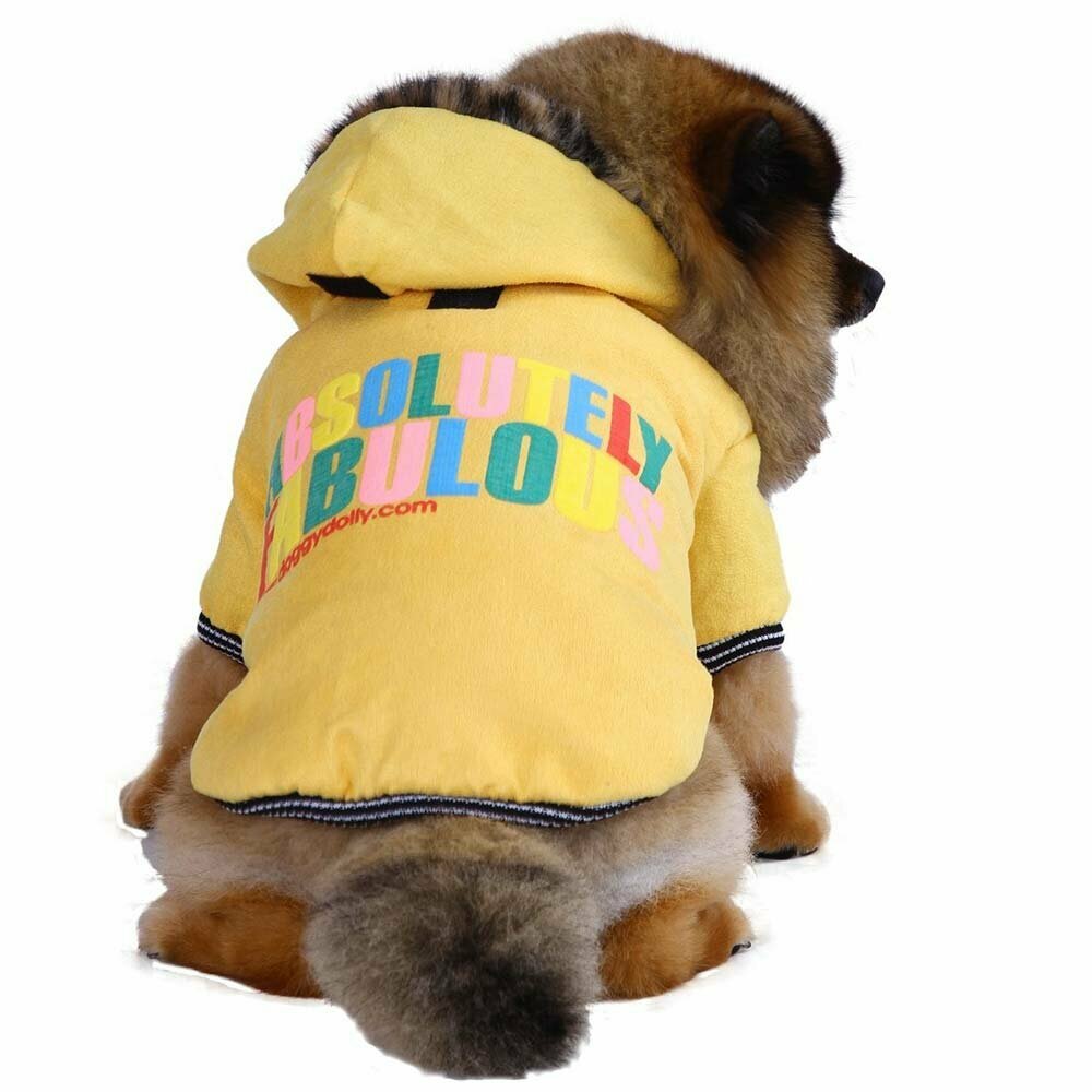 Dog clothing - warm dog coat of DoggyDolly W162