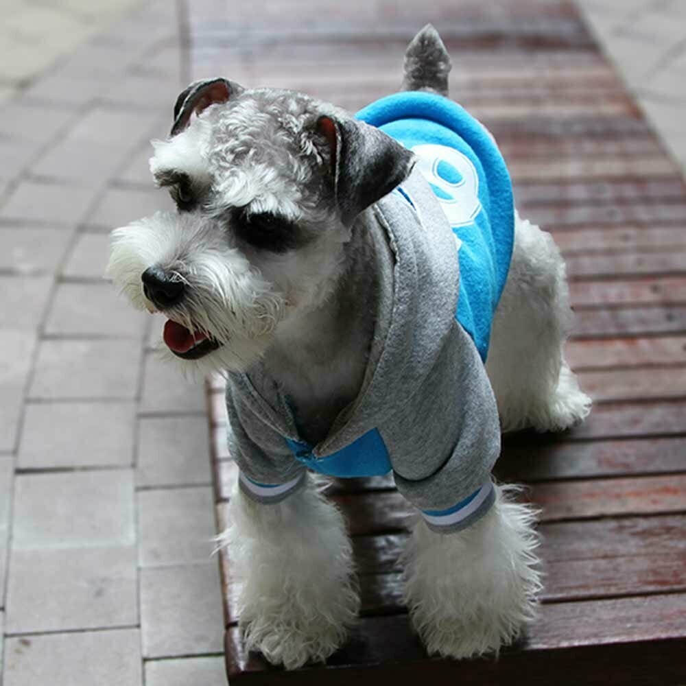 Warm sport jacket for dogs