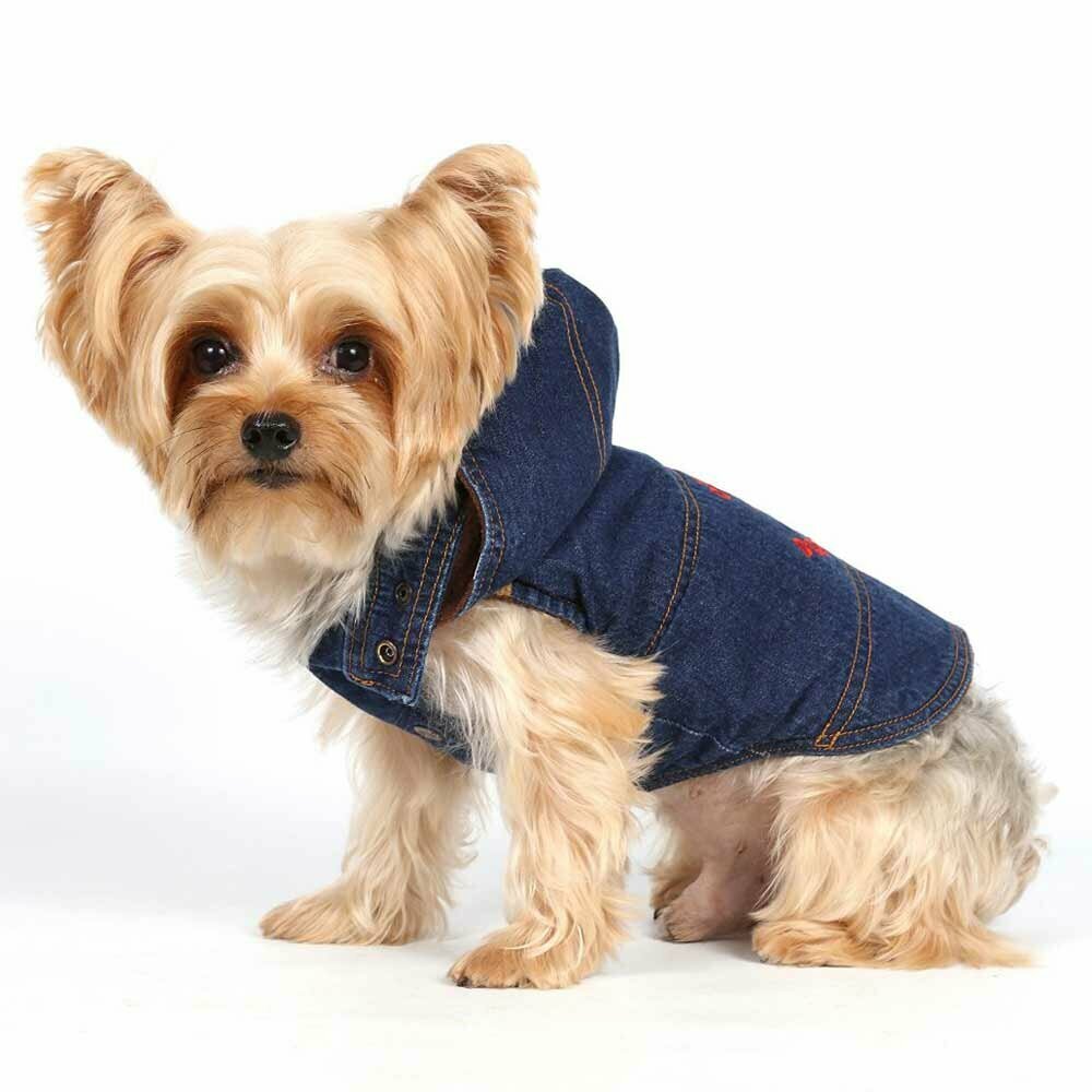 Beautiful dog jacket jeans DoggyDolly dog fashions