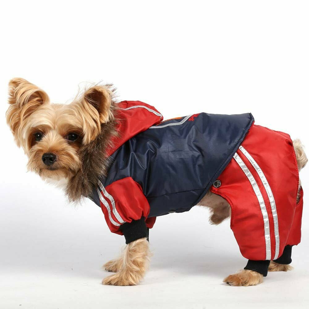 Snowsuit for dogs with detachable hood and trousers