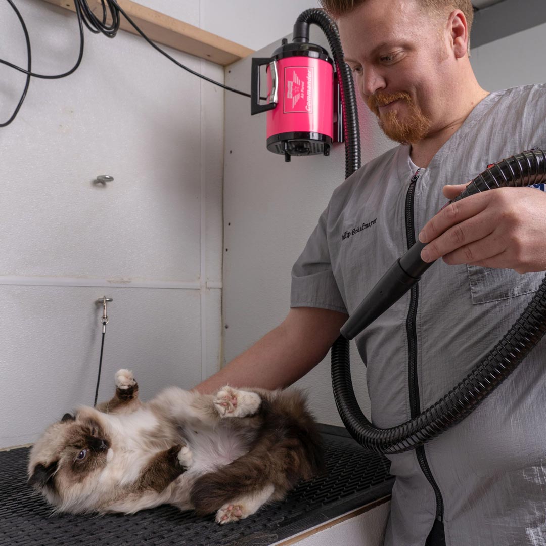 The professional dog dryer for dog groomers and enthusiastic pet owners