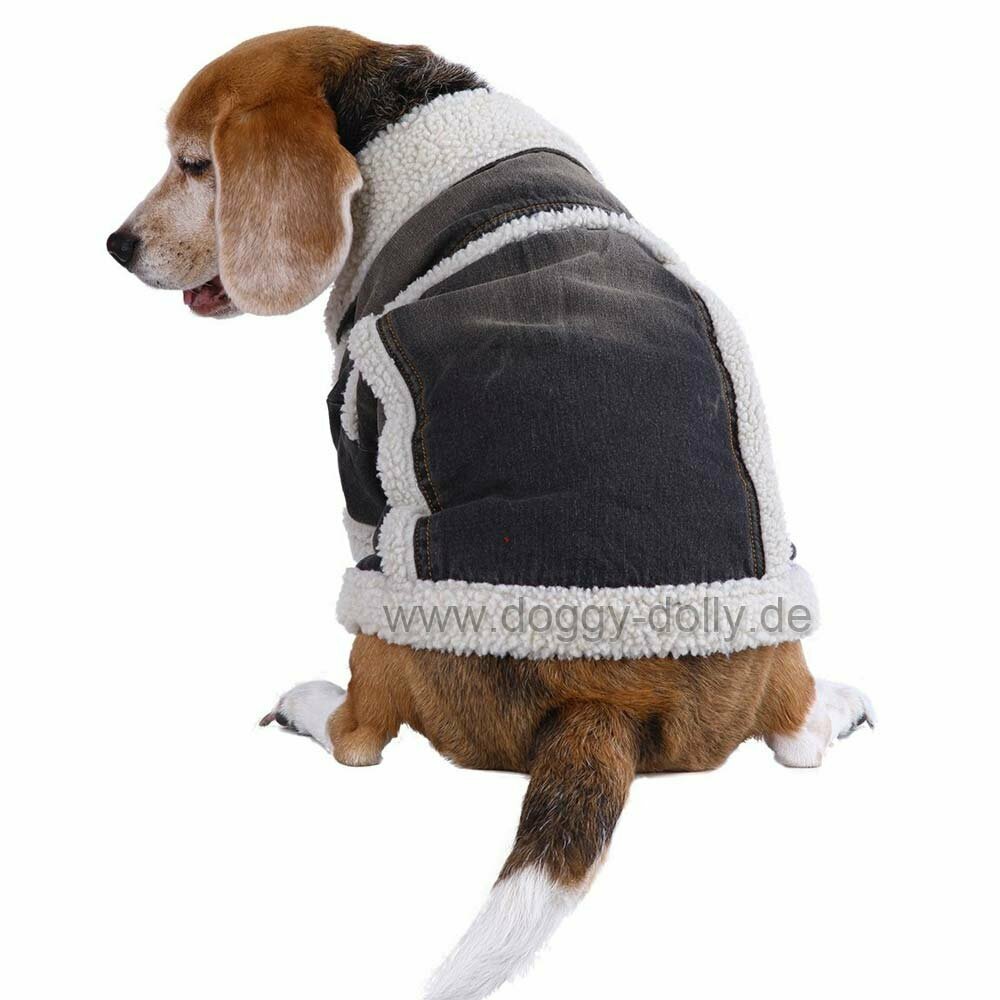 Cool denim jacket for dogs with fur for the cold winter of DoggyDolly W119