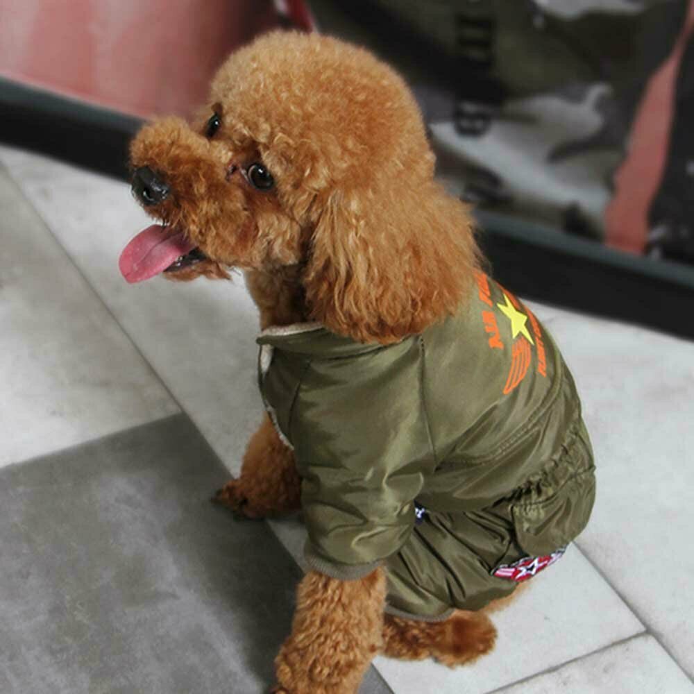 Warm Dog Clothing - Air Force