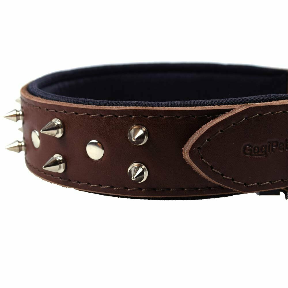 High-quality dog collar with spikes