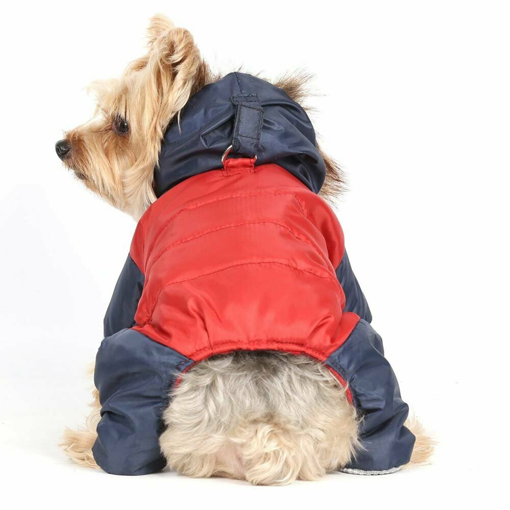 Warm dog garment by DoggyDolly W279