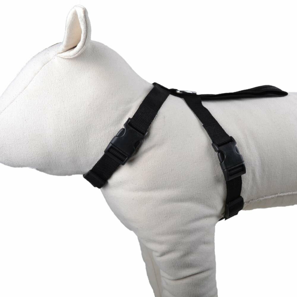 Inexpensive dog harness with handle