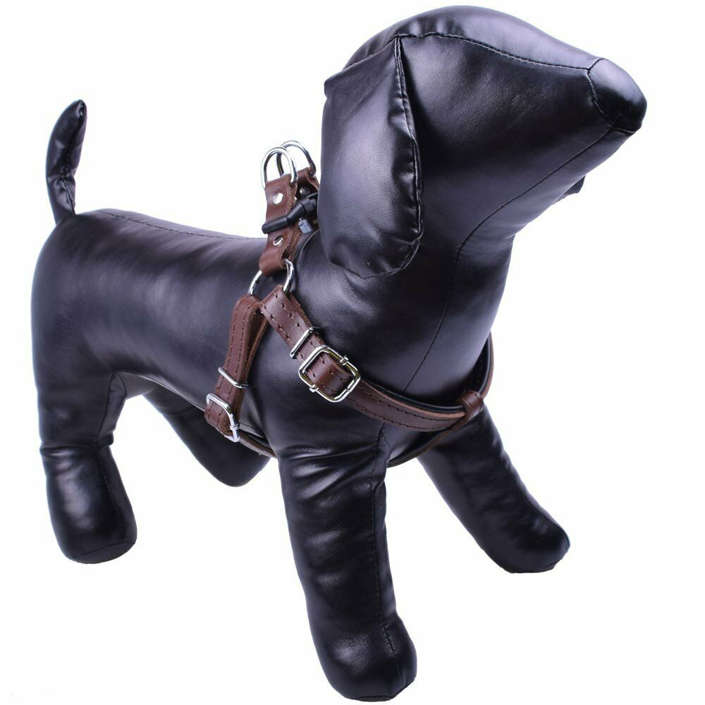 Real leather dog harness made of black first class leather