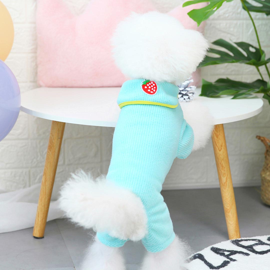 Turquoise dog romper - soft strawberry leggings