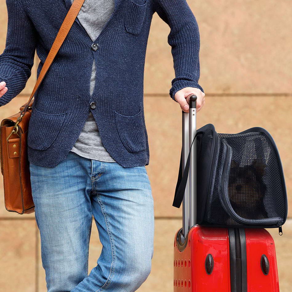 The perfect dog carrier for travelling