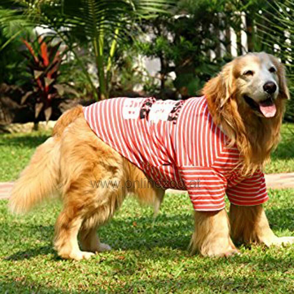 Cooles Dog in the world DoggyDolly dog shirt www.doggy-dolly.de