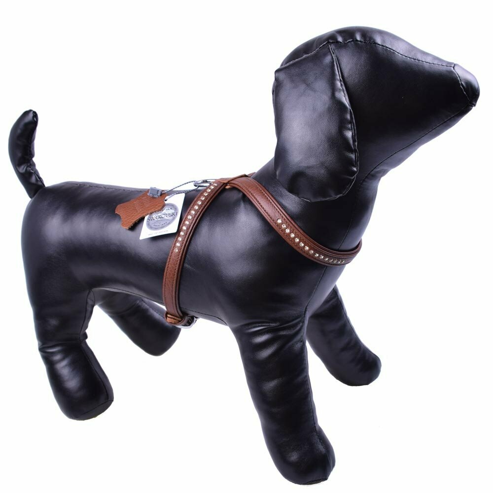Precious brown dog harness with Swarovski crystals for small dogs and puppies
