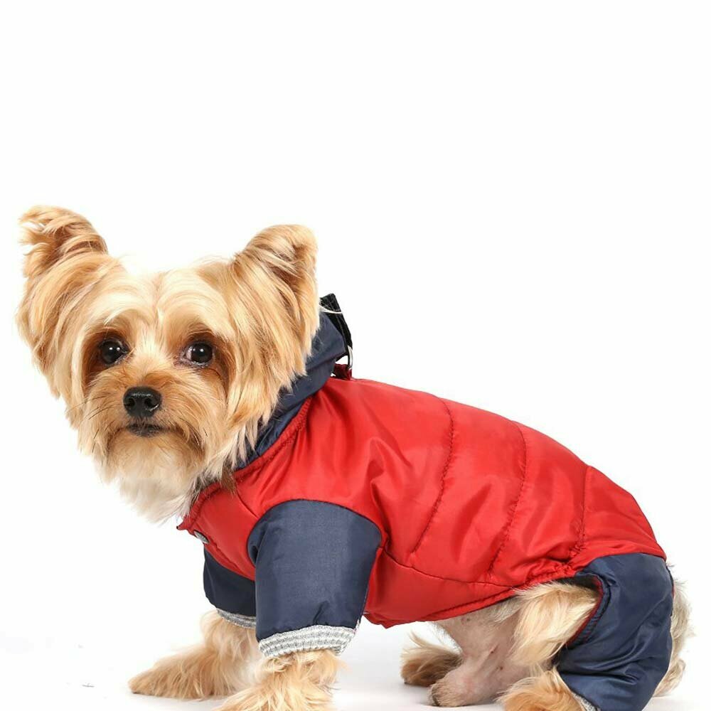 dog snowsuit red blue