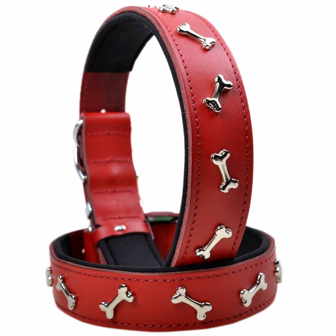 GogiPet Decor Dog Collar with Red Leather Bones