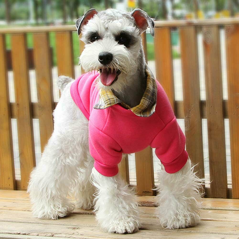 Dog sweater pink for spoiled dogs