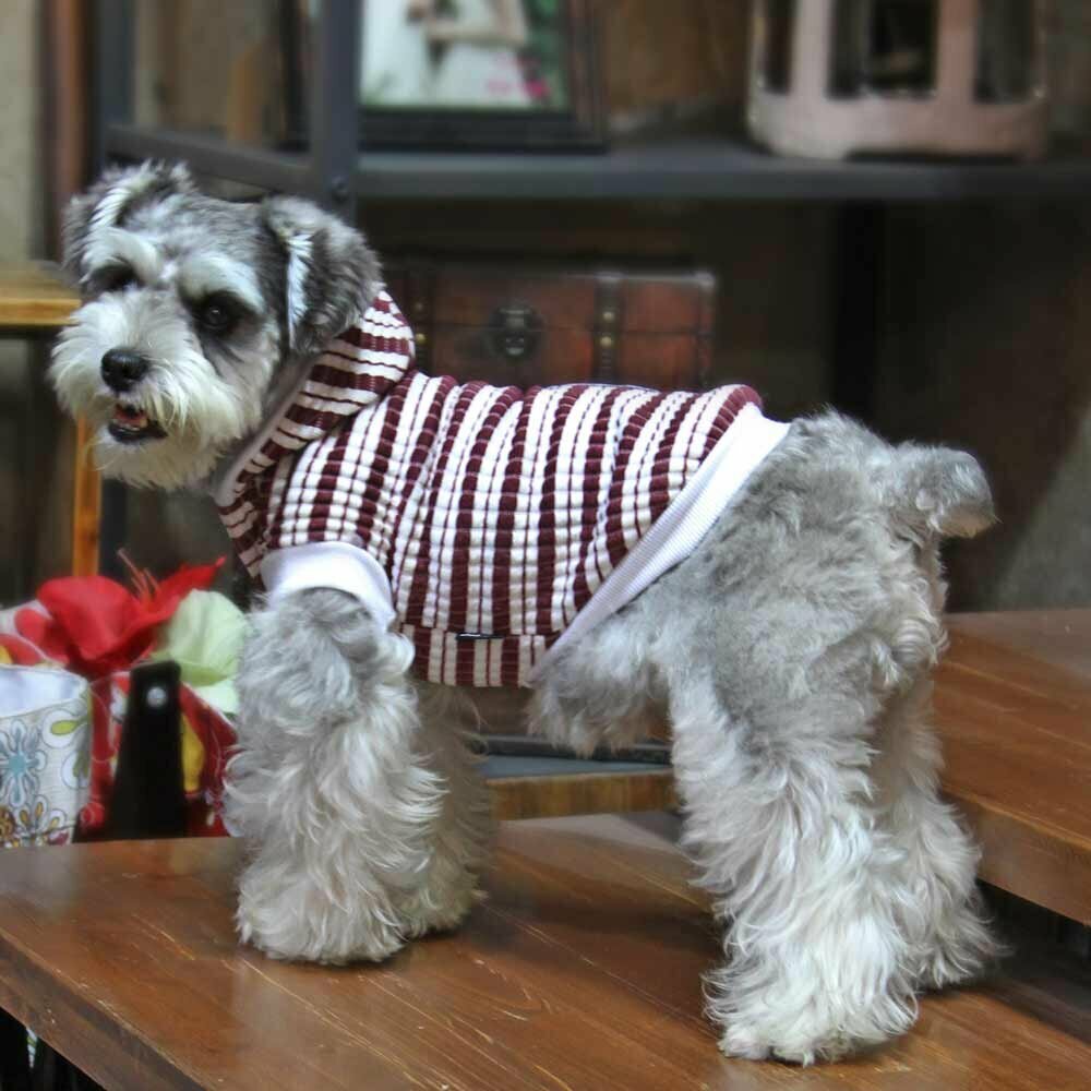 Red striped dog sweater for the winter