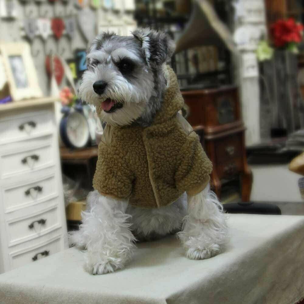 Good dog clothes for the winter - extra warm