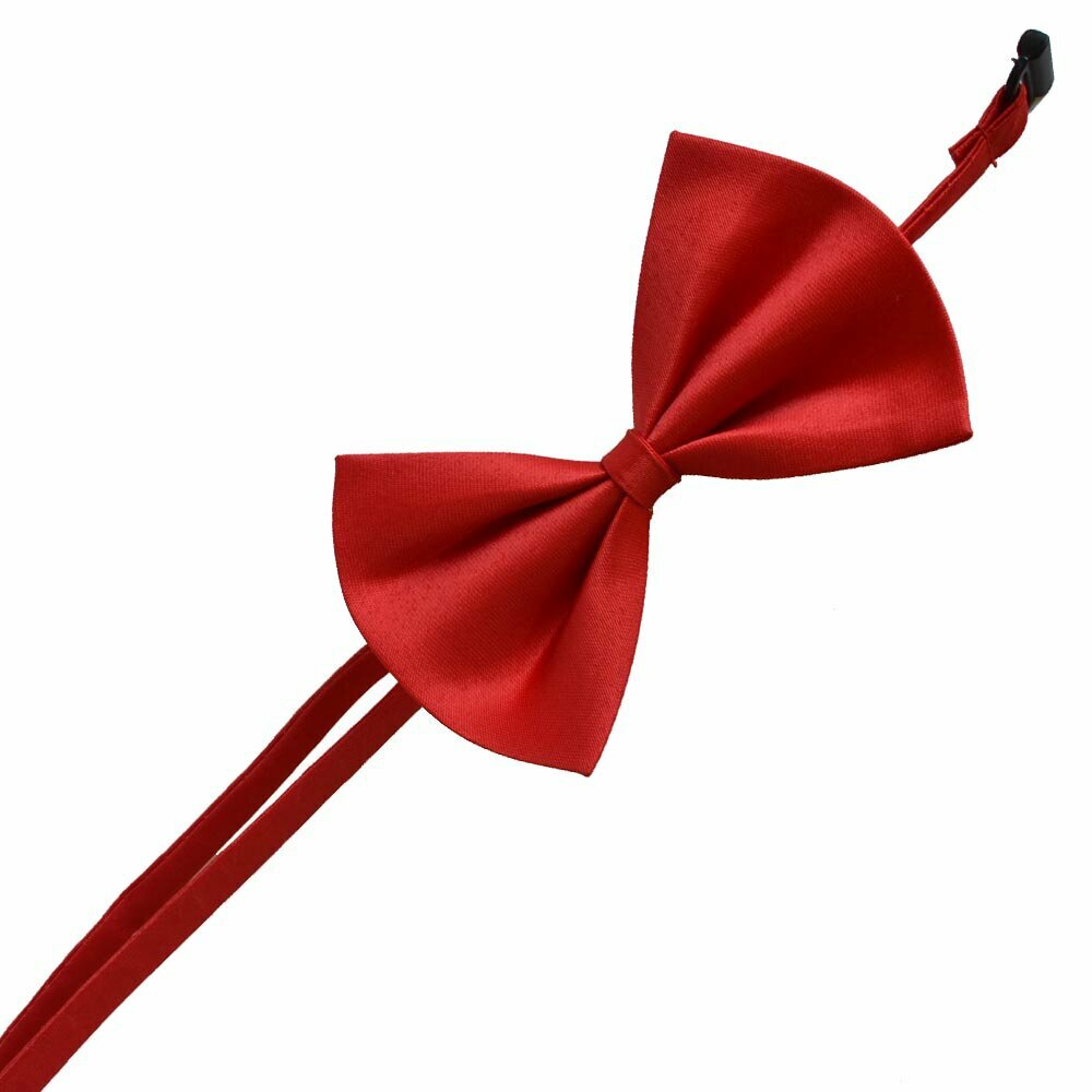 Notable red bow tie for dogs