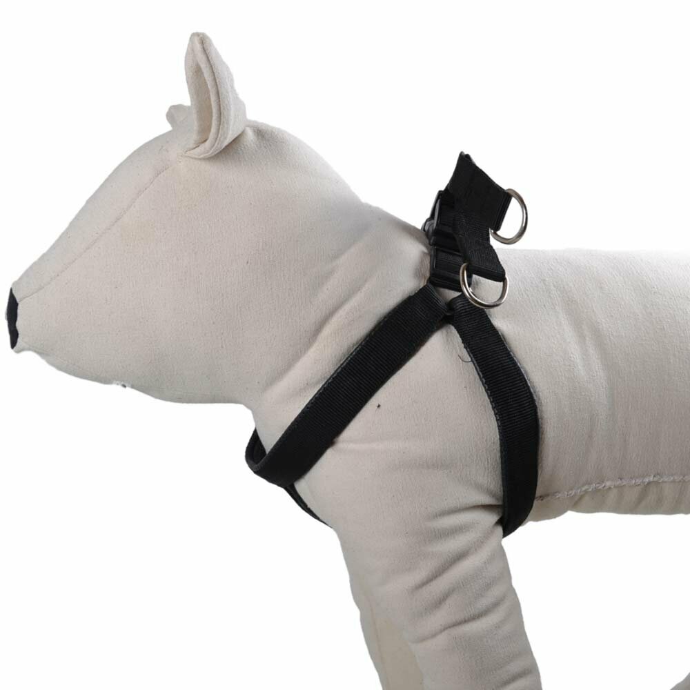 Large dog harness for larger dogs