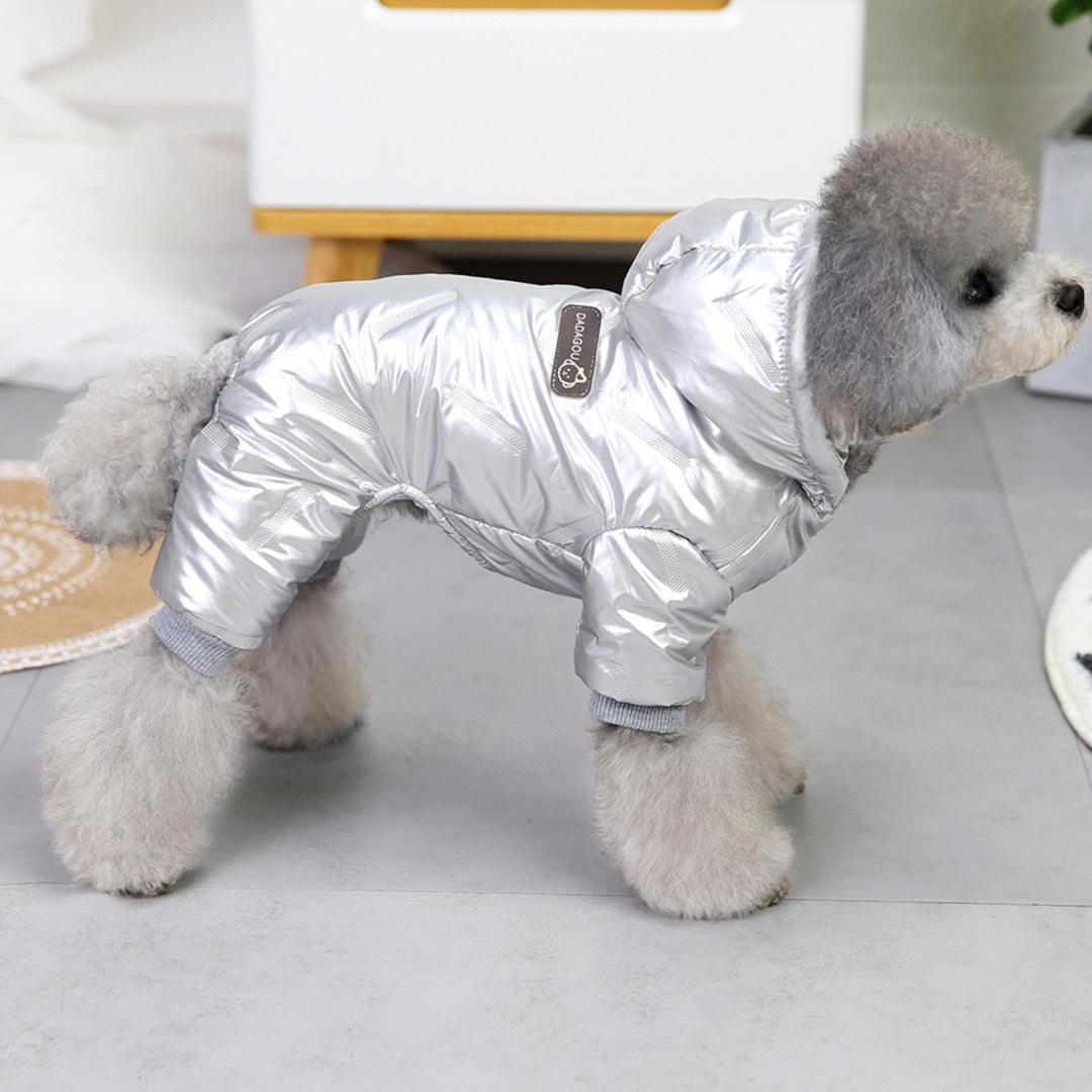 Warm Dog Snowsuit - Hoodie "Moonwalk" silver Dog Anorak