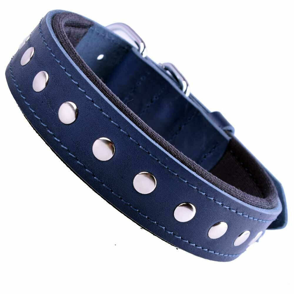 Leather dog collar blue with flat rivets