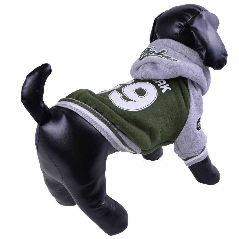 Warm winter coat for dogs - sports jacket green