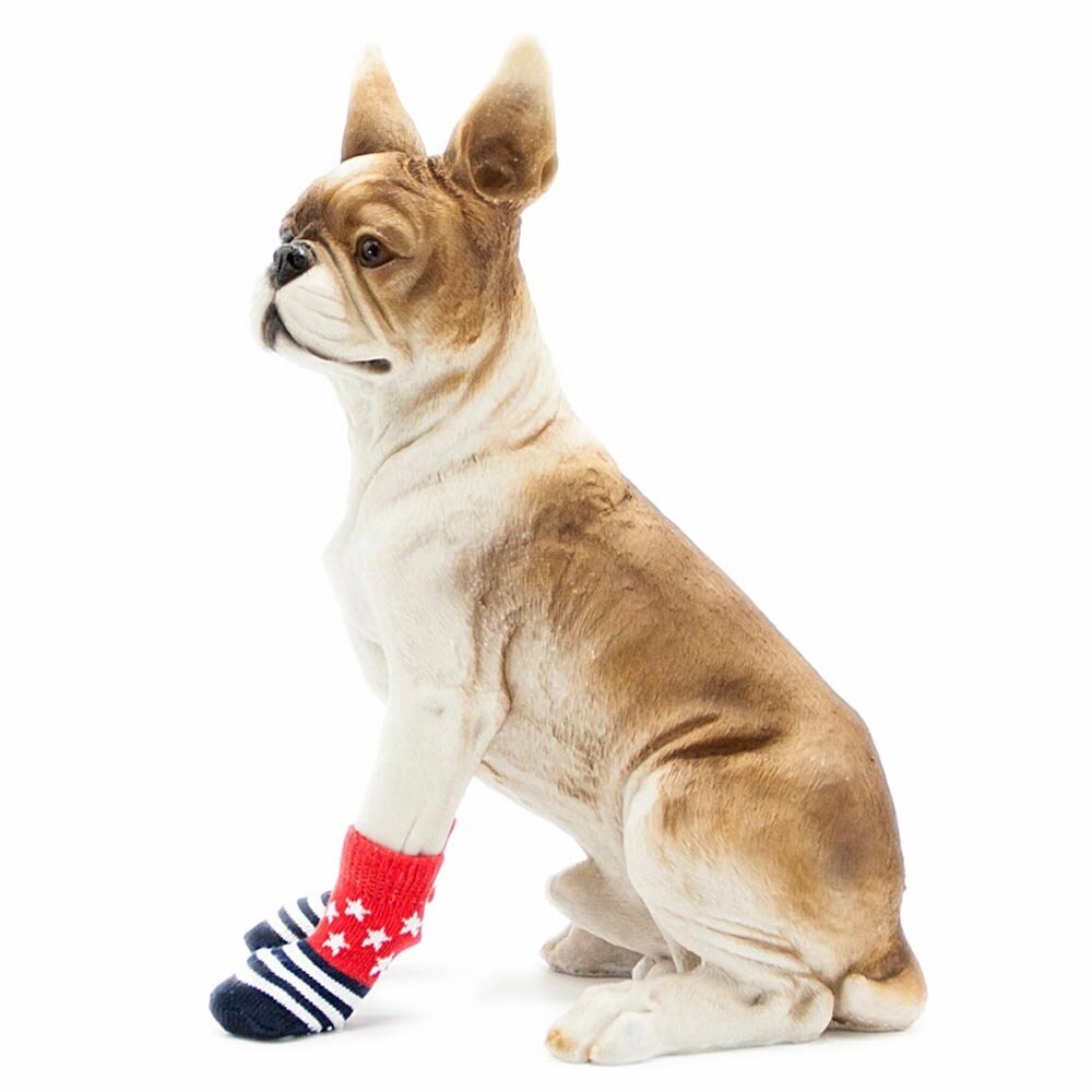 Buy quality dog socks from GogiPet