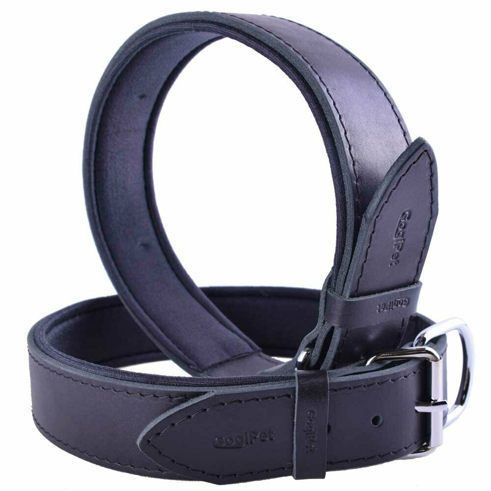 Comfort leather dog collar black from GogiPet