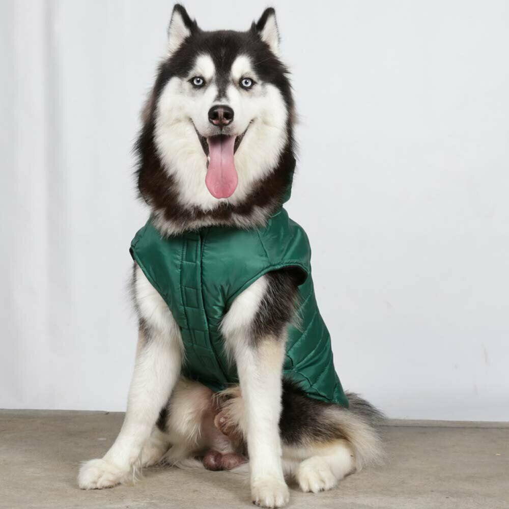 DoggyDolly BD085 - warm anorak for dogs