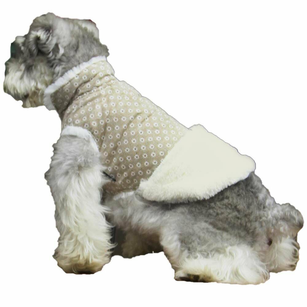 Very warm dog clothes from GogiPet at an affordable price