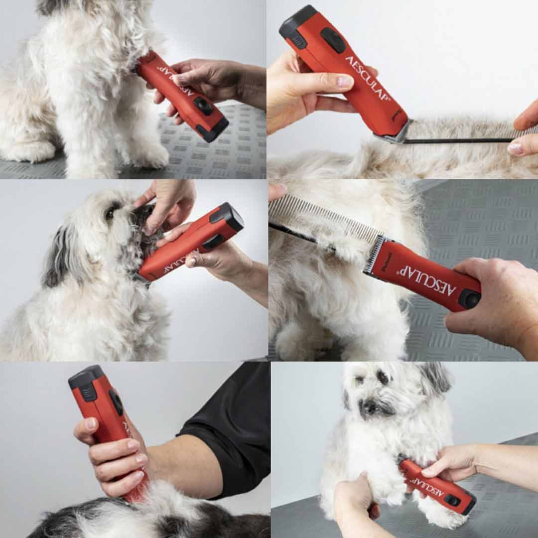 Dog clippers for many applications