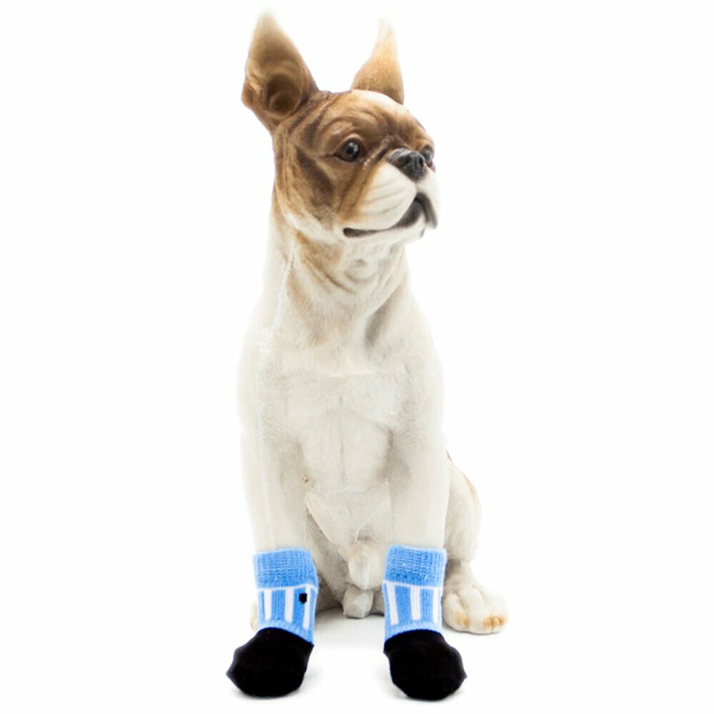Dog socks blue with white stripes