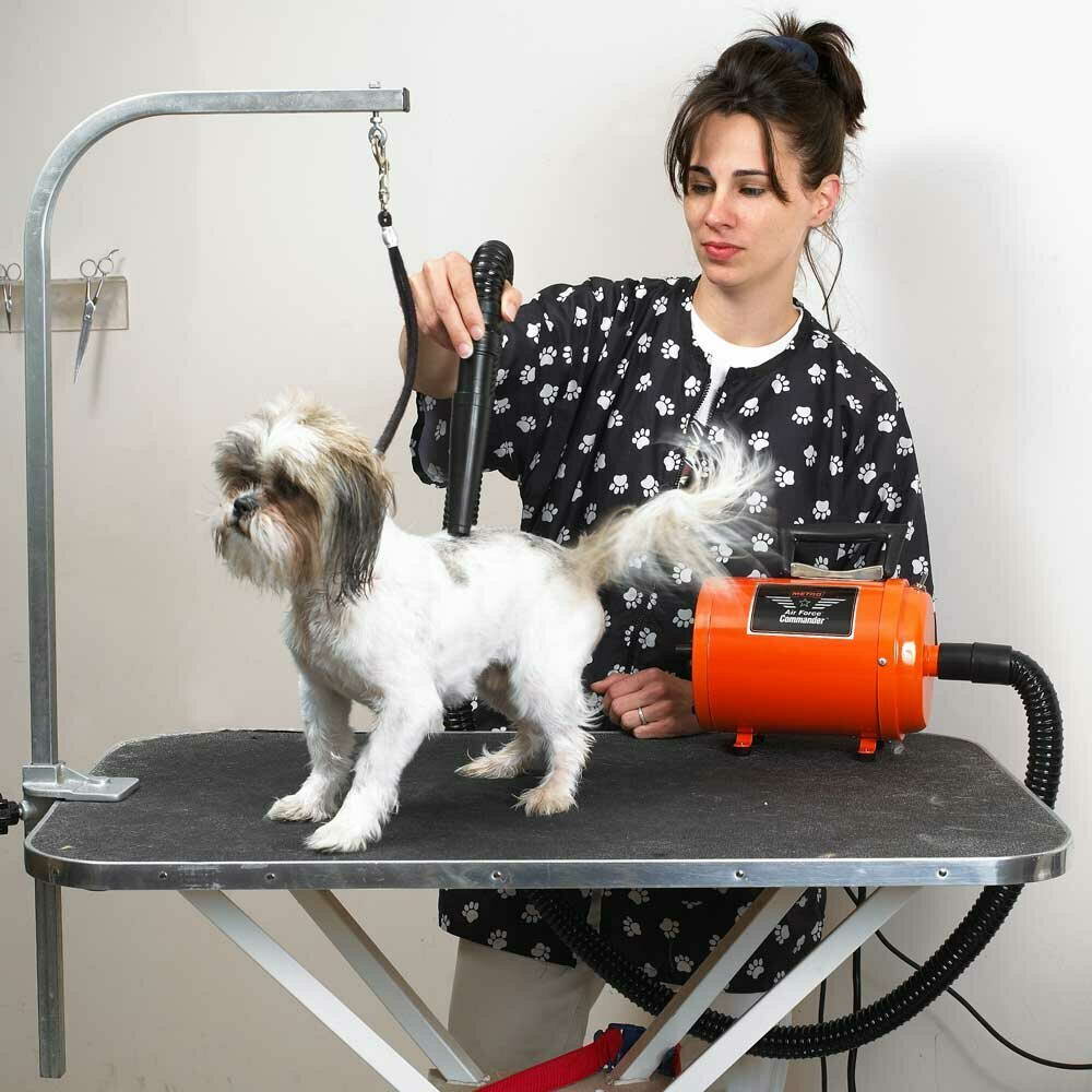 Metro blower - the professional dog dryer