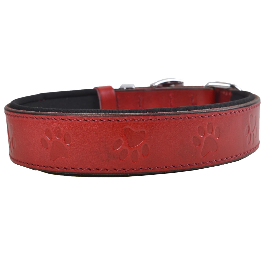 Red genuine leather dog collar with paws by GogiPet