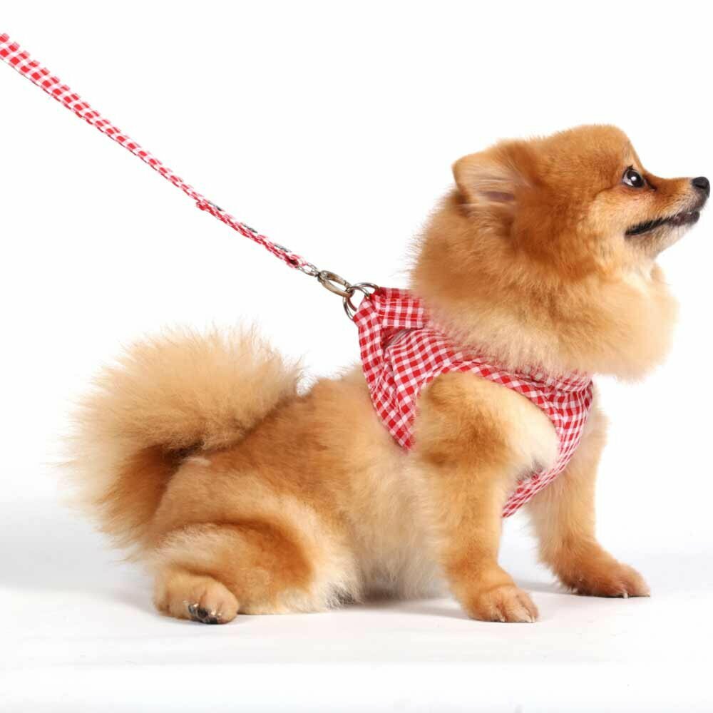Soft Harness red white checkered