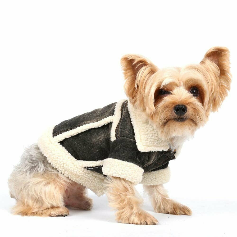 Cuddly soft, warm dog coat with sheepskin and jeans