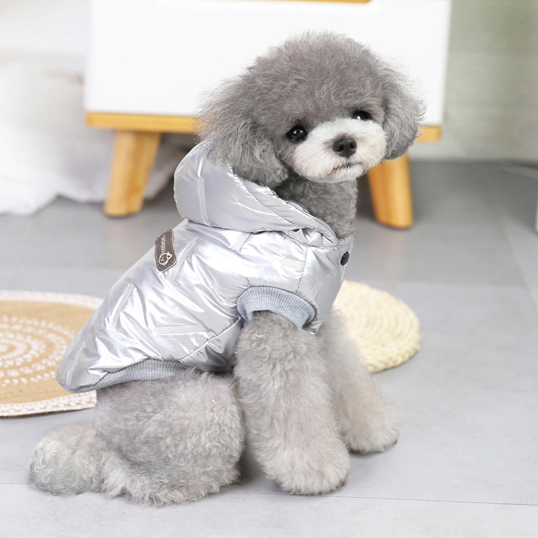Hoodie "Moonwalk" silver - Sleeveless, warm dog jacket
